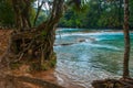 Landscape with a view of turquoise water and tree roots. Mexico, fabulous waterfall Agua Azul, Palenque. Chiapas. Royalty Free Stock Photo