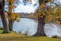 Landscape view of two trees framing lake in the background.
