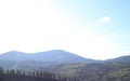 landscape view of the Ukrainian mountains with small houses, white swings and green firs and a blue sky with clouds. for postcards