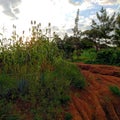 Landscape view of uneven land escarpment being farmed