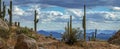 Landscape View of The Valley Of the Sun, Phoenix AZ