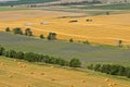 Landscape view of vast area of wheat farmland and harvest