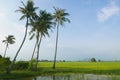 Landscape view of village with coconut tree,paddy tree,mountain tree and blue cloudy sky