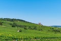 Landscape with view at vineyards and the Benedictine Abbey of St. Hildegard