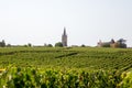 Landscape view Vineyards at Saint Emilion village in Bordeaux