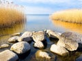 Landscape. View of the water surface with a rocky shore and yellow reeds. Lake.