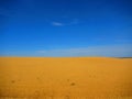 Path yellow field with blue sky Royalty Free Stock Photo