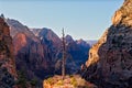Landscape view of Zion valley with dry tree foreground, Utah Royalty Free Stock Photo