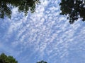 Landscape viewBlue sky white clouds