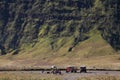 Landscape viewed of Savannah Hill, Whispering Sand Mount Bromo, East Java, Indonesia