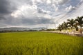 Landscape views of field and cloud