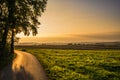 Sunset on the rural fields