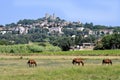 Landscape village of Grimaud in France Royalty Free Stock Photo