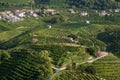 Landscape with villages in wine valley Valdobbiadene, and green grapes for Prosecco wine. Green terraces in Italy Royalty Free Stock Photo