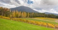 Landscape of Vineyard fields in Yarra Valley, Australia in autumn Royalty Free Stock Photo