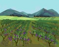 Landscape with vineyard, mountains on horizon and blue sky in impressionistic manner Royalty Free Stock Photo