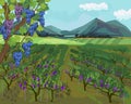 Landscape with vineyard, mountains on horizon and blue sky