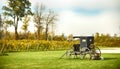 Landscape of vineyard, nature background