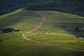 Landscape of vineyards, Beaujolais, France Royalty Free Stock Photo