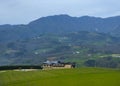 Landscape with vineyards in euskadi Royalty Free Stock Photo
