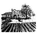 Landscape vineyards hand drawn ink sketch illustration Royalty Free Stock Photo