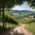 Landscape with vineyards and houses near beaujolais wine making village Val d\'Oingt, gateway to Beaujolais Wine Route Royalty Free Stock Photo