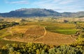 Landscape with vineyards at La Rioja, Spain Royalty Free Stock Photo