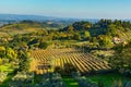 Tuscany landscape with vineyards rows Royalty Free Stock Photo