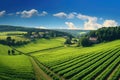 Landscape of vineyards and village in Czech Republic. Rural landscape, Panoramic photo of a beautiful agricultural view with