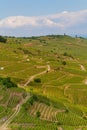 Landscape with vineyards of wine route. France, Alsace Royalty Free Stock Photo