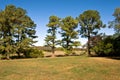 Landscape at Virginia Arboretum