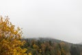 landscape with visible horizon on a foggy november day with indian fall colors Royalty Free Stock Photo