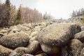 Landscape in the Vitosha mountains, Bulgaria Royalty Free Stock Photo