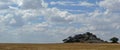 Landscape w/ Kopje - Serengeti (Tanzania, Africa)