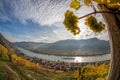 Landscape of Wachau valley, Spitz village with Danube river in Austria. Royalty Free Stock Photo