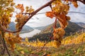 Landscape of Wachau valley, Spitz village with Danube river in Austria. Royalty Free Stock Photo