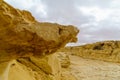 Landscape of a wadi in Ein Avdat National Park