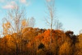 Landscape of Wahlfield Park near Grand Rapids Michigan Royalty Free Stock Photo