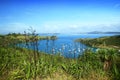 Landscape at Waiheke