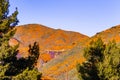 Landscape in Walker Canyon during the superbloom, California poppies covering the mountain valleys and ridges, Lake Elsinore, Royalty Free Stock Photo