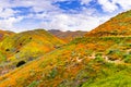 Landscape in Walker Canyon during the superbloom, California poppies covering the mountain valleys and ridges, Lake Elsinore, Royalty Free Stock Photo