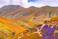 Landscape in Walker Canyon during the superbloom, California poppies covering the mountain valleys and ridges, Lake Elsinore, Royalty Free Stock Photo