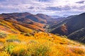 Landscape in Walker Canyon during the superbloom, California poppies covering the mountain valleys and ridges, Lake Elsinore, Royalty Free Stock Photo