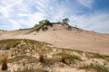 Landscape at Warren Dunes