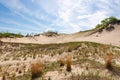 Landscape at Warren Dunes