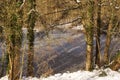 Landscape was covered with snow in forest - Landscapes wintry Royalty Free Stock Photo