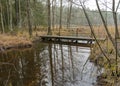 Landscape, water ditch in the forest, winter Royalty Free Stock Photo