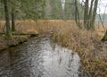 Landscape, water ditch in the forest, winter Royalty Free Stock Photo