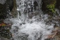 Landscape of water dripping in Japanischer Garten in Kaiserslautern Germany