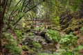 Blurred leaves and dense vegetation flanking rocks and a small stream with flowing water and wooden bridge in Paredes waterfalls